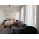 Vieno miegamojo apartamentai Nr.1
